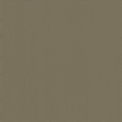 Kasmir ALTA VISTA       TAN             